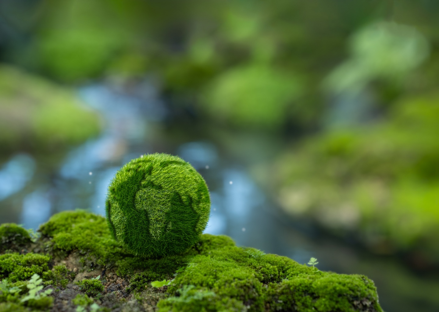 ESG Rapportering For SMV’Er 2026 1440 1024Px